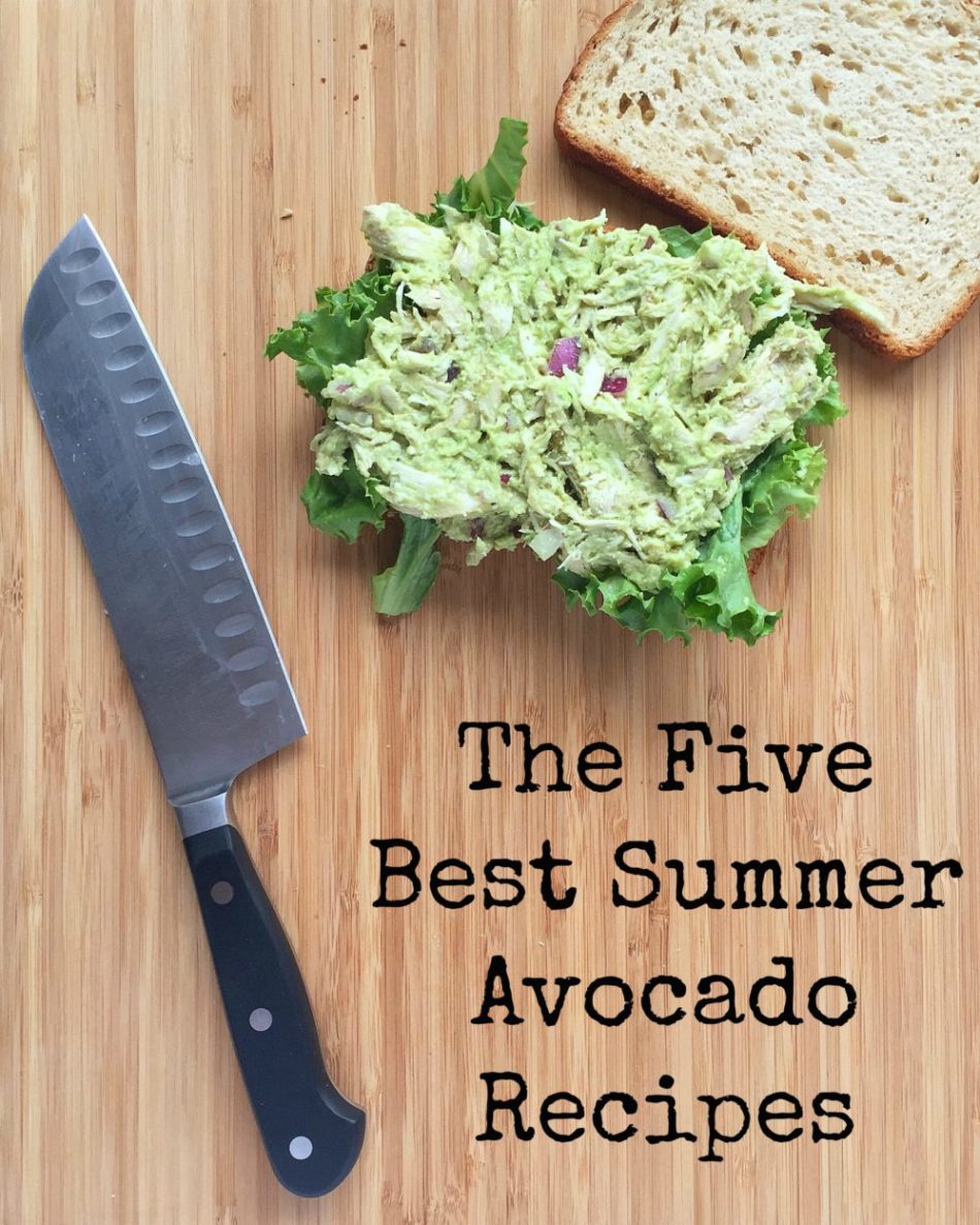 5 Best Summer Avocado Recipes You Sould Try Economical Chef 4504